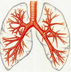 Атма препарат для лечения органов дыхания